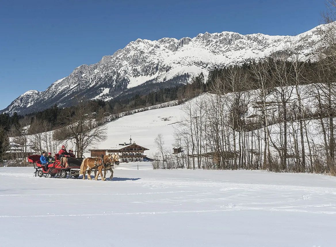 Kutschen-fahren_Ellmau_Foto-von-Felbert_Reiter-(13)©danielreiterpetervonfelbert