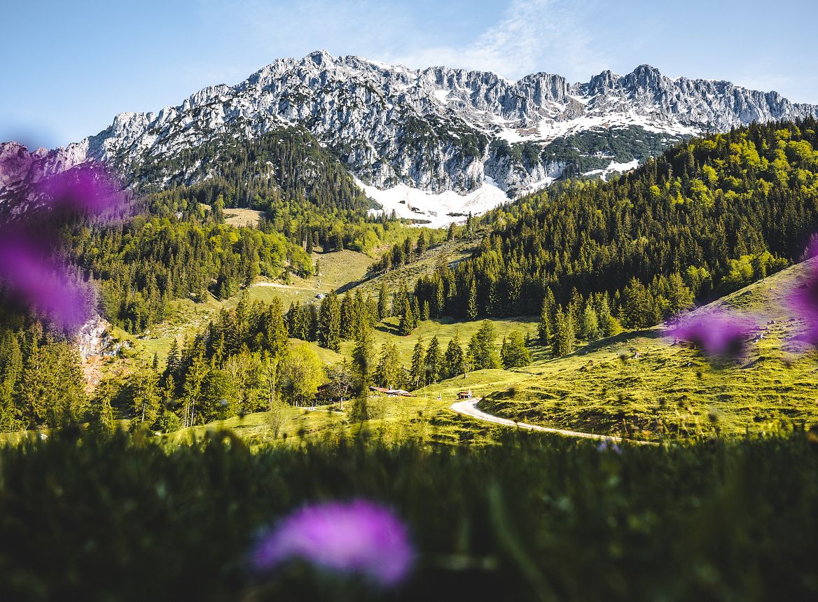 landschaft-fruehling-wilder-kaiser-foto-matthaeus-gartner-10mathaeusgartner-2