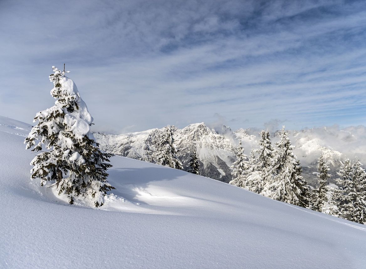 verschneite-baeume-landschaft-wilder-kaiser-foto-von-felbert-reiter-8danielreiterpetervonfelbert-3